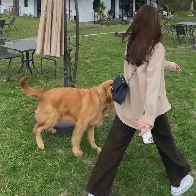我要做个贼